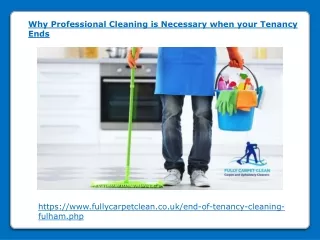 why professional cleaning is necessary when your