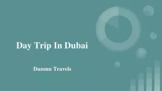 day trip in dubai