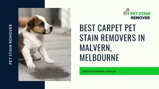 Best Carpet Pet Stain Removers in Malvern, Melbourne