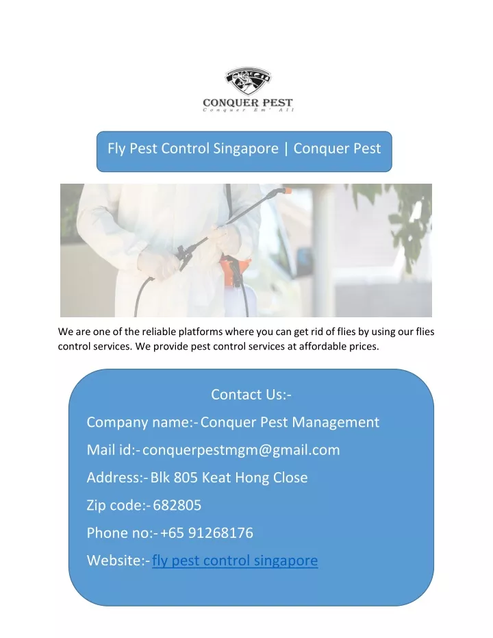 fly pest control singapore conquer pest