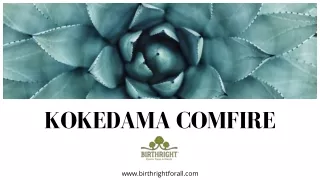 Kokedama Comfire