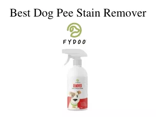 Best Dog Pee Stain Remover
