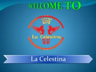 welcome to