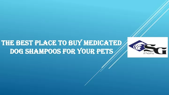 the best place to buy medicated dog shampoos