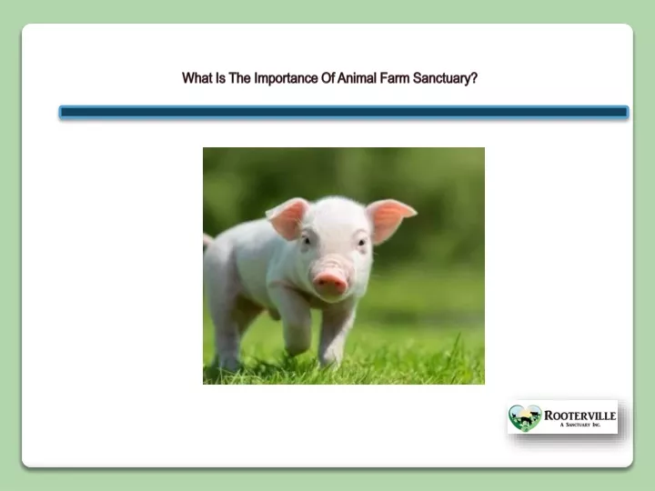 what is the importance of animal farm sanctuary