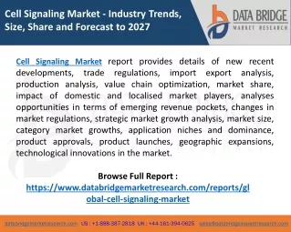 cell signaling market industry trends size share