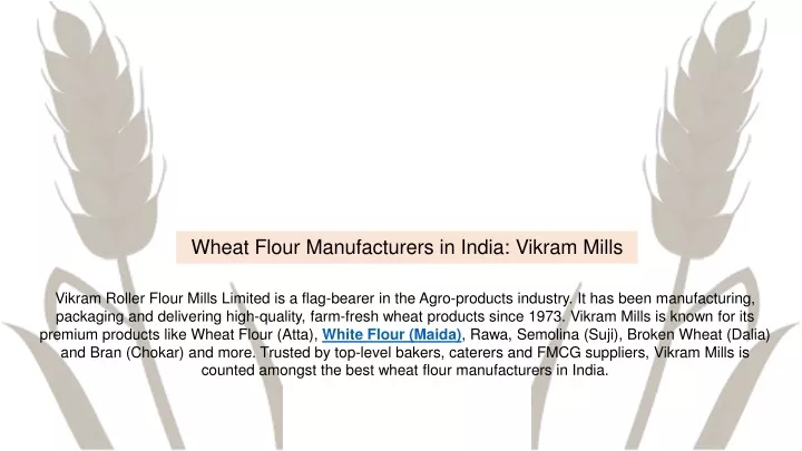 wheat flour manufacturers in india vikram mills