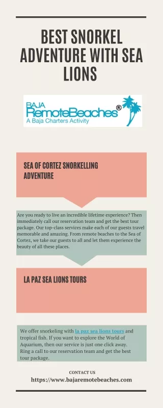 Best snorkel adventure with sea lions