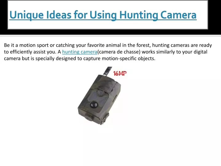 unique ideas for using hunting camera