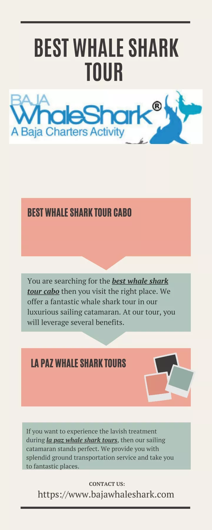 best whale shark tour