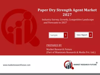 Paper Dry Strength Agents Market Size Is Expected to Have the Largest Industry
