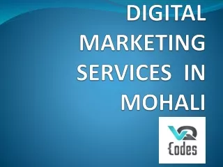 Seo And Digital Marketing Services in Tricity