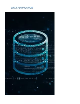 Data purification services