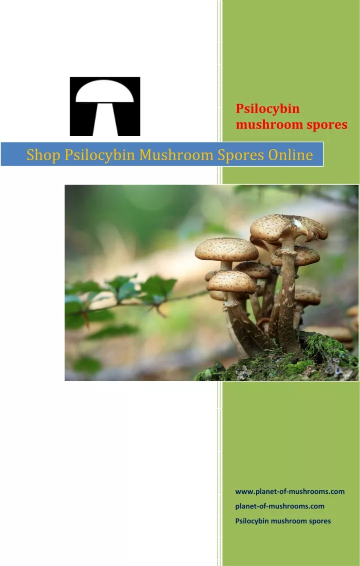 psilocybin mushroom spores