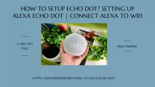How to Setup Echo Dot Instantly? 1-8014475163 Setup Alexa Echo Dot Help