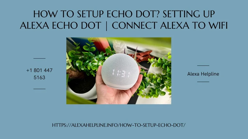 PPT - How to Setup Echo Dot Instantly? 1-8014475163 Setup Alexa Echo ...