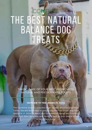 The Best Natural Balance Dog Treats