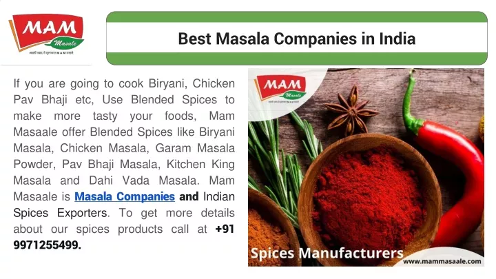 best masala companies in india