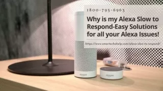 Alexa Slow to Respond Fix 1-8007956963 Echo Dot Not Responding