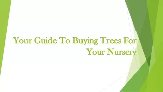 Your Guide To Buying Trees For Your Nursery