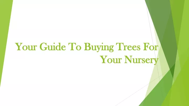 your guide to buying trees for your nursery