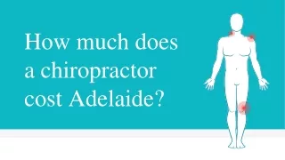 How much does a chiropractor cost Adelaide