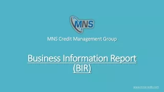 Business Information Report