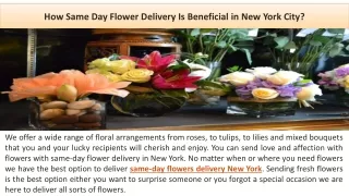 How Same Day Flower Delivery Is Beneficial in New York City