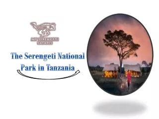 The Serengeti National Park in Tanzania