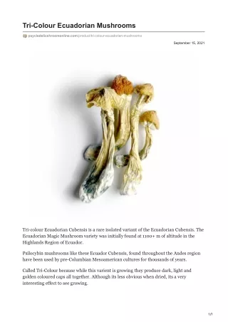 tri colour ecuadorian mushrooms