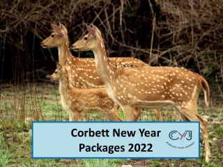 Corbett New Year Packages 2022 | Jim Corbett New Year Packages