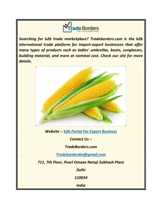 B2b Portal for Export Business  Tradeborders.com