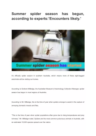 Summer spider season has begun, according to experts_’Encounters likely