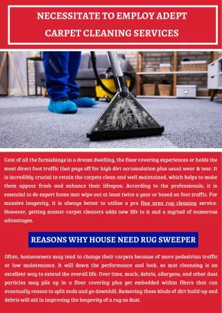 Necessitate To Employ Adept Carpet Cleaning