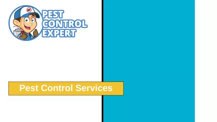 pest control services