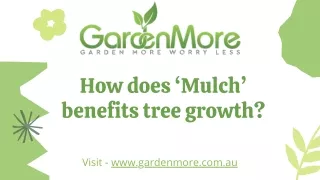 How does ‘Mulch’ benefits tree growth?