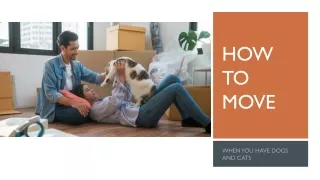 How To Move When You Have Dogs And Cats