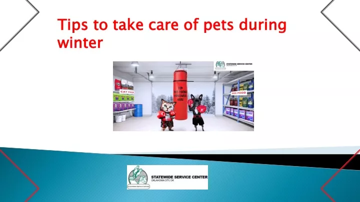 tips to take care of pets during winter