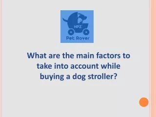 What are the main factors to take into account while buying a dog stroller?