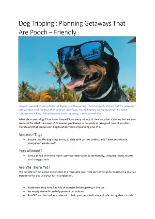 Dog Tripping : Planning Getaways That Are Pooch – Friendly