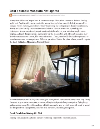 Best Foldable Mosquito Net