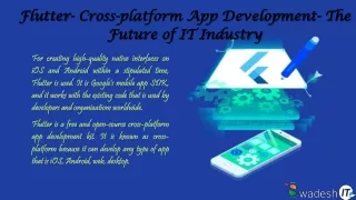 flutter cross platform app development the future