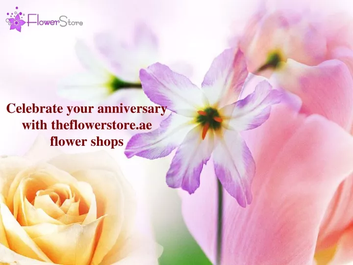 celebrate your anniversary with theflowerstore ae flower shops