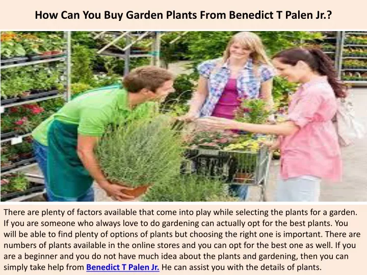 how can you buy garden plants from benedict t palen jr