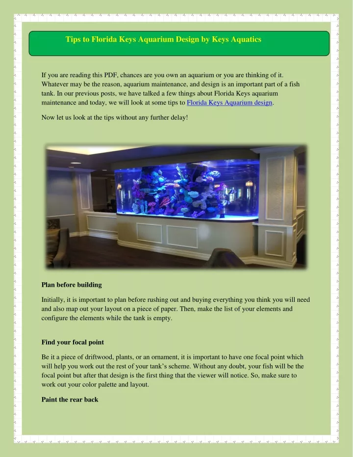 tips to florida keys aquarium design by keys