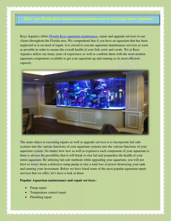 have your florida keys aquarium maintenance