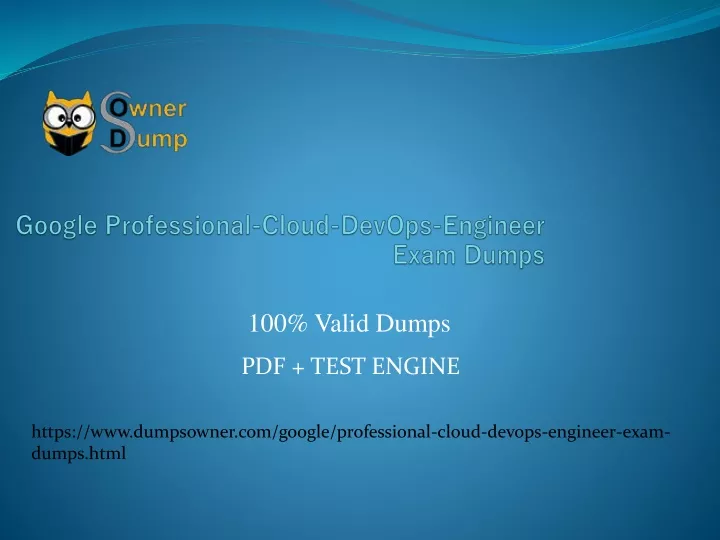 google professional cloud devops engineer exam dumps