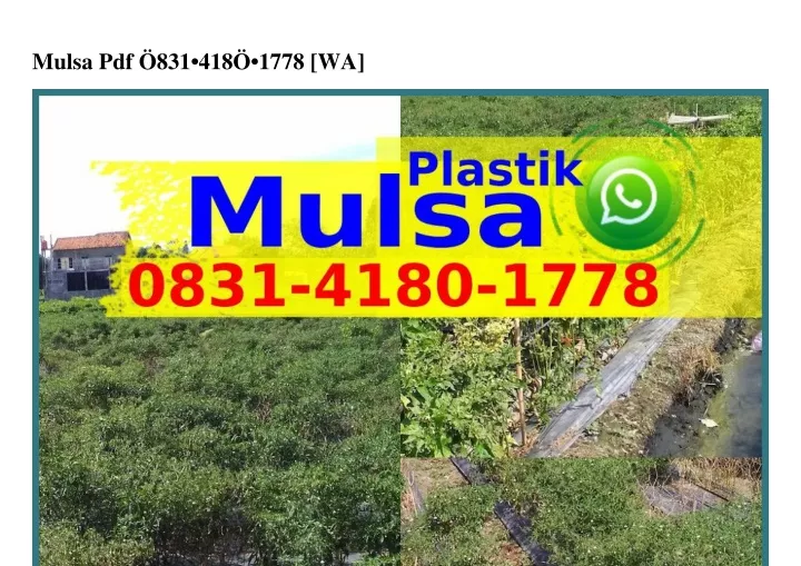 mulsa pdf 831 418 1778 wa