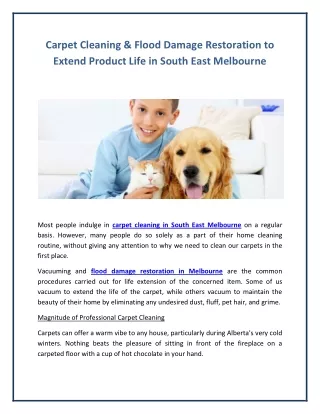 Carpet Cleaning & Flood Damage Restoration to Extend Product Life in South East Melbourne