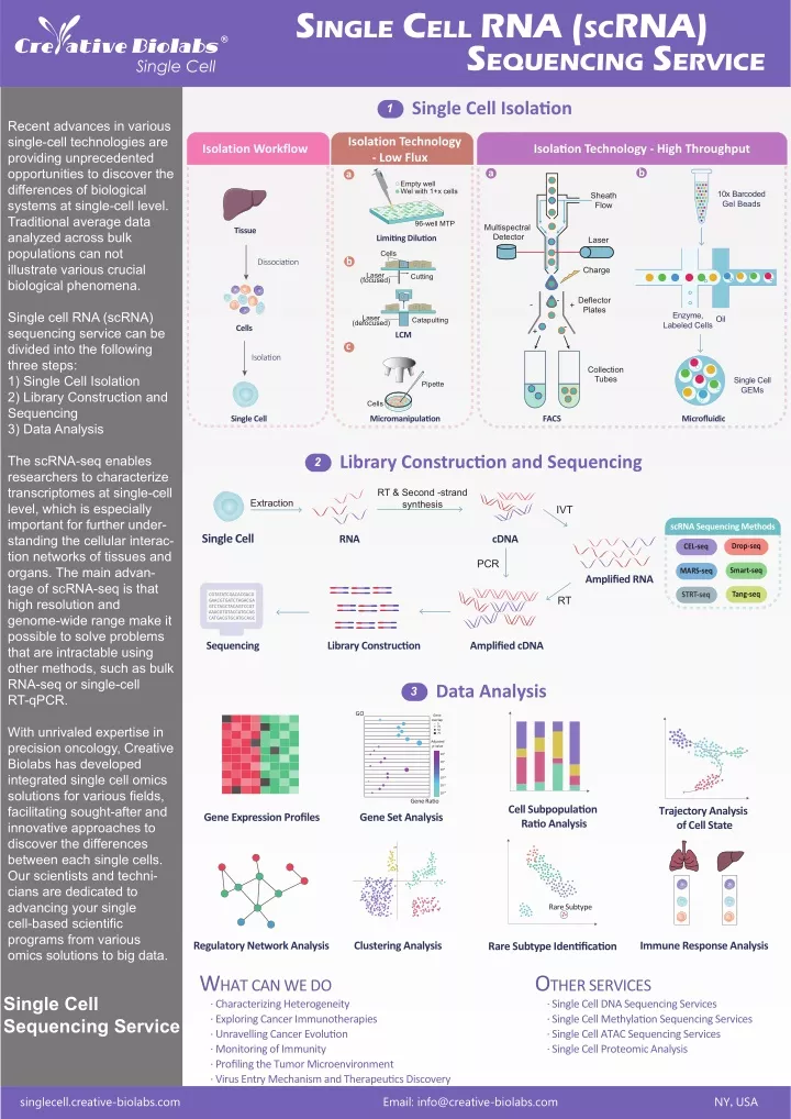 s ingle c ell rna sc rna s equencing s ervice